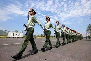 娱乐吃瓜酱水龙头方队,揭秘娱乐圈幕后风云